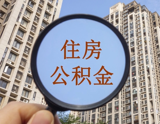 本溪退休后查不到公积金明细了吗（退休后公积金查询不到原因）